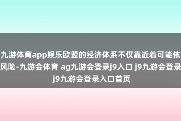 九游体育app娱乐欧盟的经济体系不仅靠近着可能依赖中国的风险-九游会体育 ag九游会登录j9入口 j9九游会登录入口首页