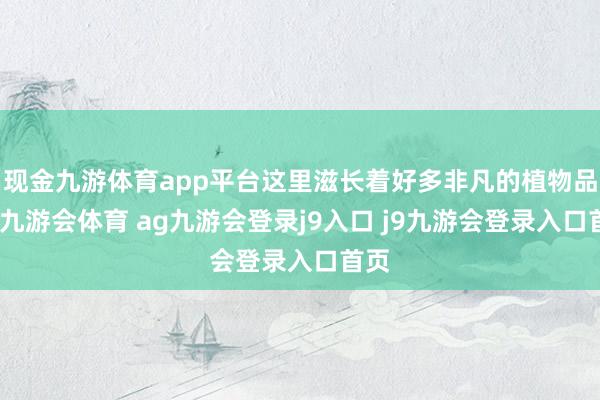 现金九游体育app平台这里滋长着好多非凡的植物品种-九游会体育 ag九游会登录j9入口 j9九游会登录入口首页